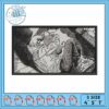 Doffy king one piece embroidery, doflamingo one piece​ embroidery